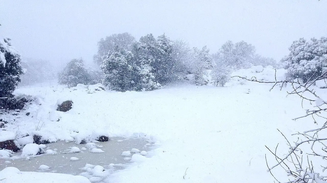 שלג בעין זיוון 12.2.2015 שלג בעין זיוון 12.2.2015