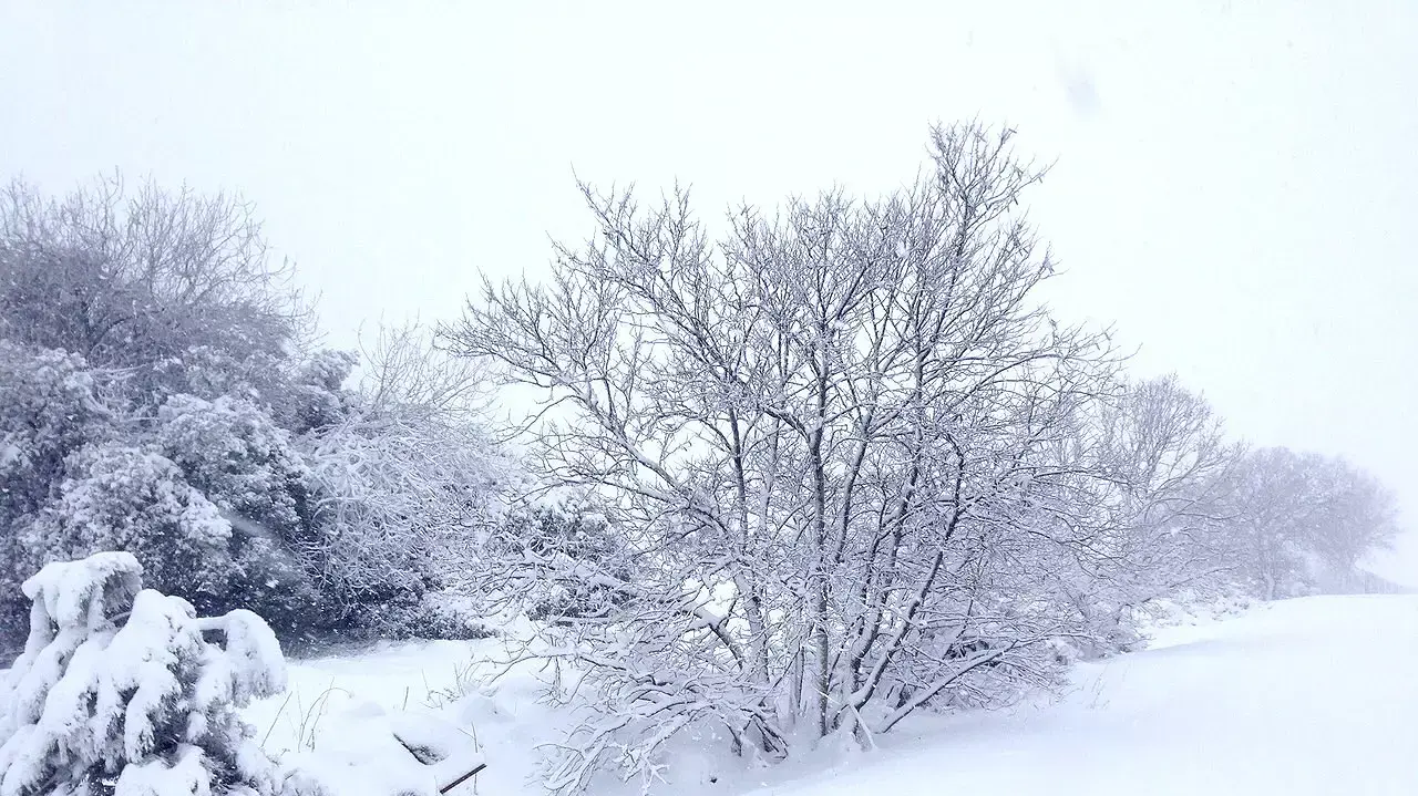 שלג בעין זיוון 12.2.2015 שלג בעין זיוון 12.2.2015