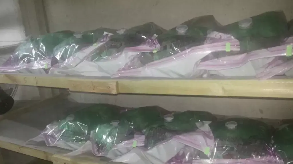 מעבדת הידרו שנחשפה בצמוד לפארק תעשיית ההייטק אפק, פברואר 2015 מעבדת הידרו שנחשפה בצמוד לפארק תעשיית ההייטק אפק, פברואר 2015