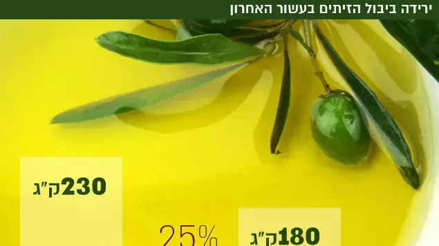ירידה ביבול הזיתים בעשור האחרון ירידה ביבול הזיתים בעשור האחרון