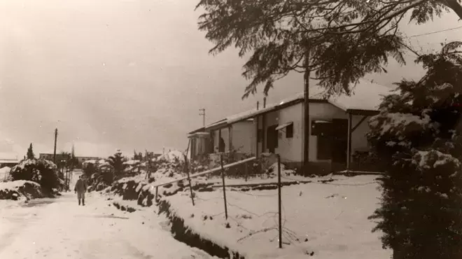 שלג ברעננה שלג ברעננה