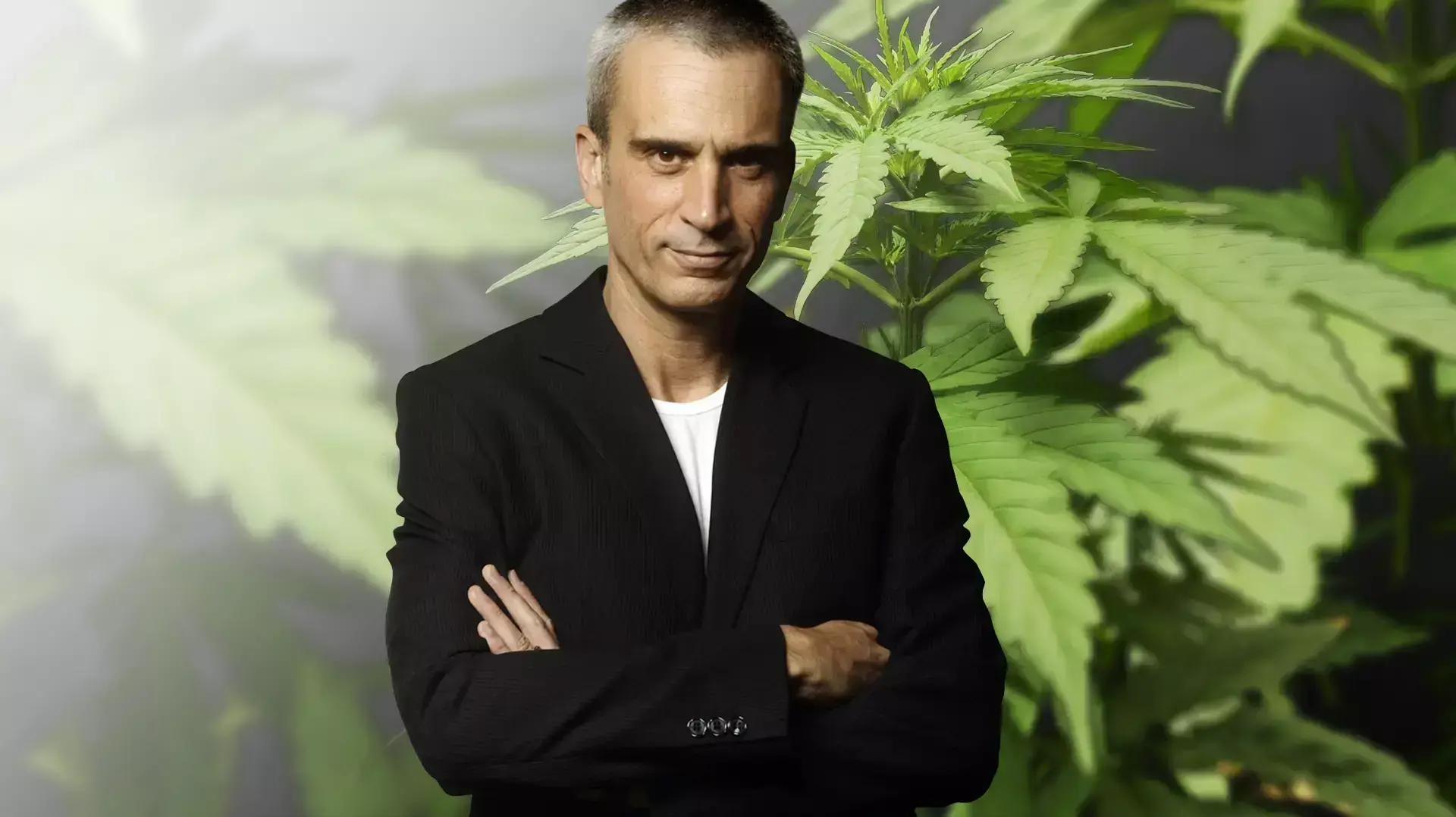 אברי גלעד אברי גלעד
