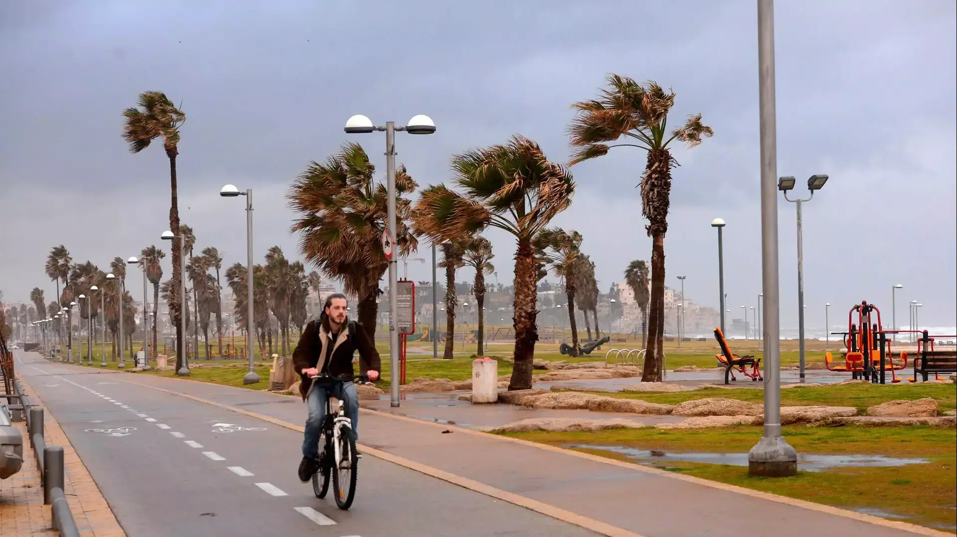 מזג אוויר בתל אביב, פברואר 2015 מזג אוויר בתל אביב, פברואר 2015