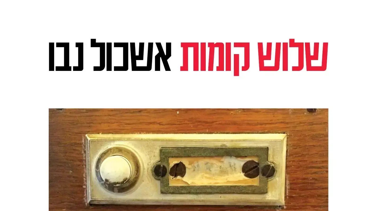 אשכול נבו, שלוש קומות גדול אשכול נבו, שלוש קומות גדול