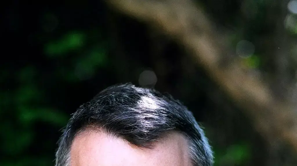 אשכול נבו אשכול נבו