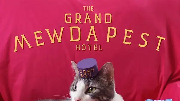 מלון גרנד בודפשט חתולים מלון גרנד בודפשט חתולים