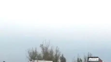 תאונת דרכים קטלנית סמוך לצומת סעד, פברואר 2015 תאונת דרכים קטלנית סמוך לצומת סעד, פברואר 2015
