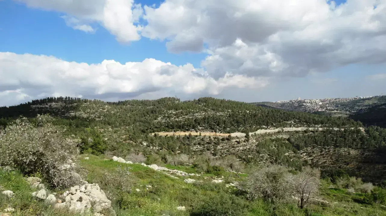צילום פנורמי של הסטף, ירושלים. פברואר 2015 צילום פנורמי של הסטף, ירושלים. פברואר 2015