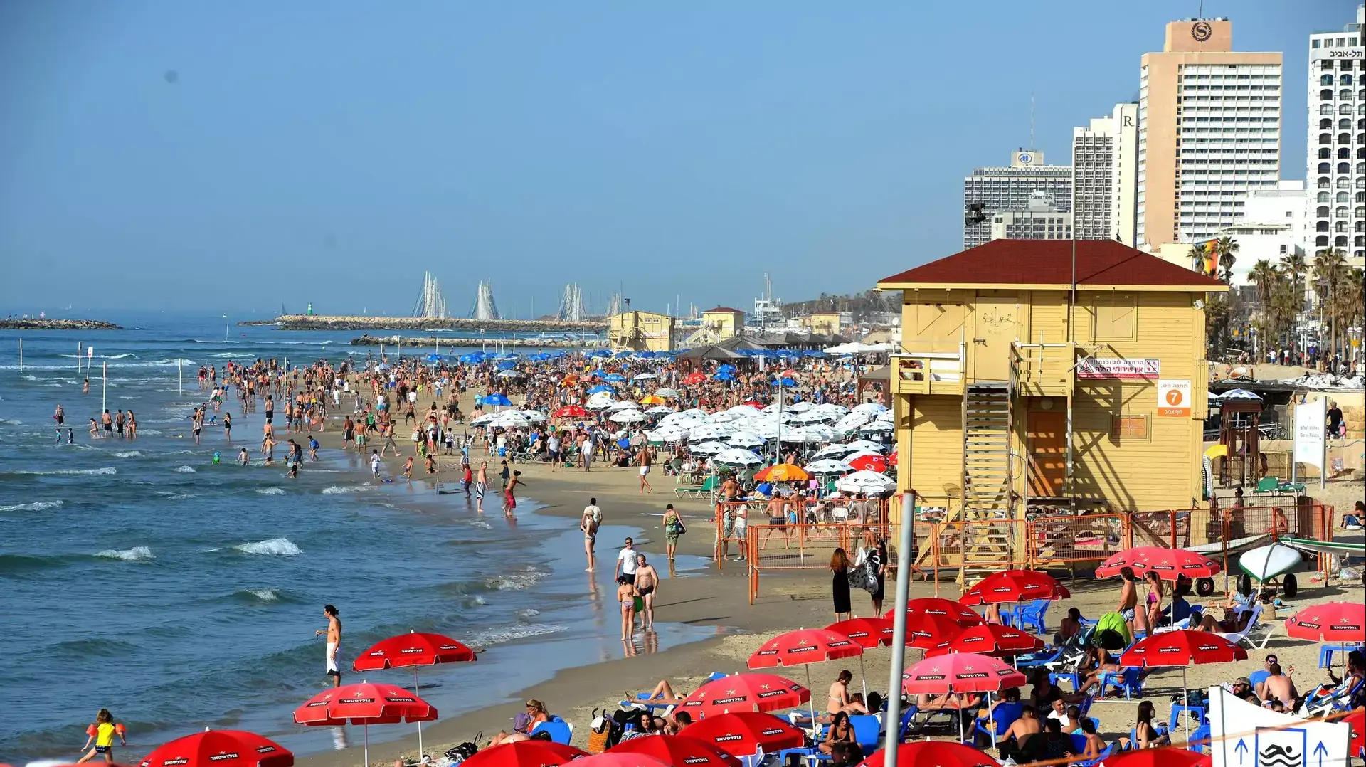 רוחצים בחופי תל אביב בשרב החורפי רוחצים בחופי תל אביב בשרב החורפי