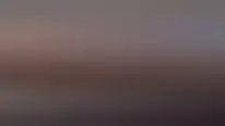 השיראלי המכוער