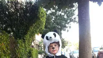 כרמי זילברשטיין מחופש לדוב פנדה בחג הפורים. מרץ 2015