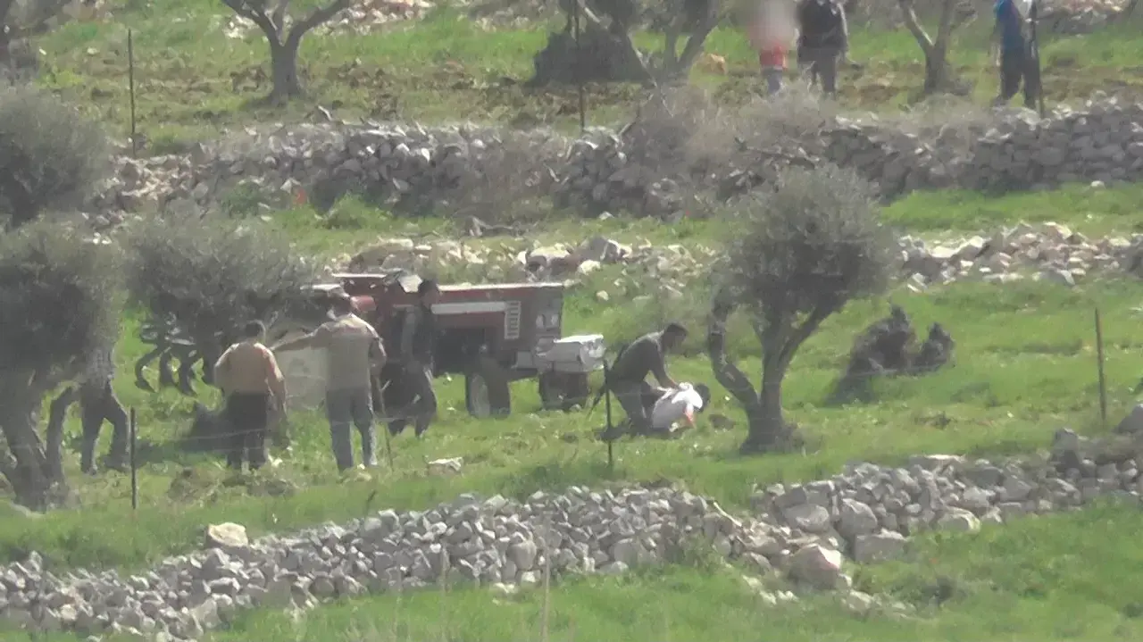 תיעוד: מתנחלים מיידים אבנים לעבר פלסטינים