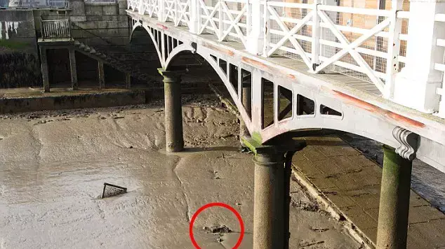 האם נמצא שלד של בן אדם בנהר התמזה באנגליה? האם נמצא שלד של בן אדם בנהר התמזה באנגליה?