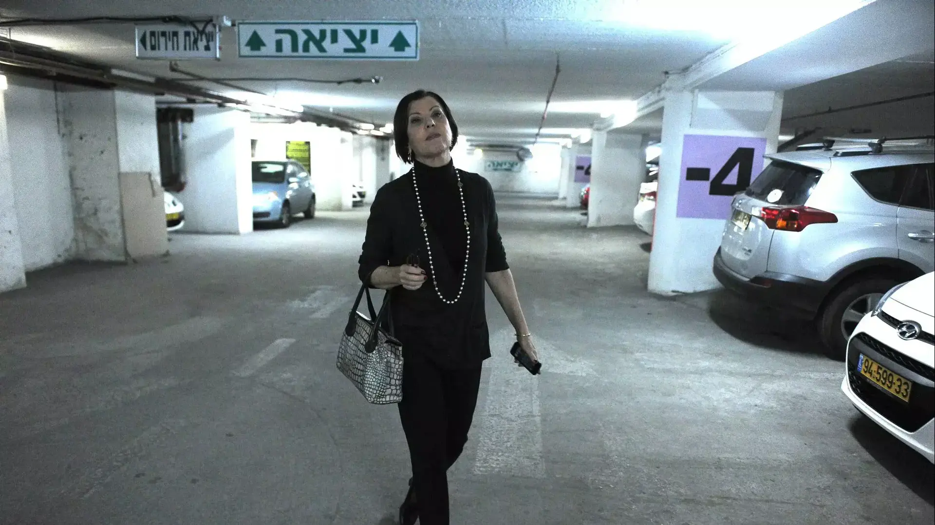 זהבה גלאון קמפיין בחירות 2015 זהבה גלאון קמפיין בחירות 2015