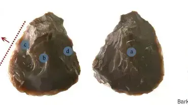 הגרזן העתיק שעליו שאריות של שומן מן החי (נקודות כחולות) וסימני חיתוך (נקודות אדומות) הגרזן העתיק שעליו שאריות של שומן מן החי (נקודות כחולות) וסימני חיתוך (נקודות אדומות)