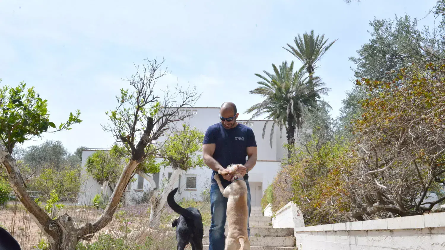 ההוסטל בחבצלת השרון שהקים תומר בוהדנה, מרץ 2015 ההוסטל בחבצלת השרון שהקים תומר בוהדנה, מרץ 2015