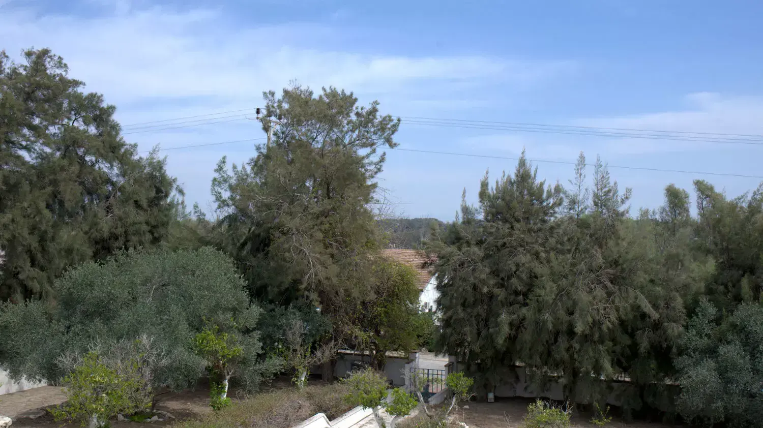 ההוסטל בחבצלת השרון שהקים תומר בוהדנה, מרץ 2015 ההוסטל בחבצלת השרון שהקים תומר בוהדנה, מרץ 2015