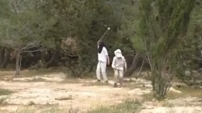 מתנחלים מחוות מעון שבדרום הר חברון מיידים אבנים לעבר פעילי שמאל, מרץ 2015 מתנחלים מחוות מעון שבדרום הר חברון מיידים אבנים לעבר פעילי שמאל, מרץ 2015