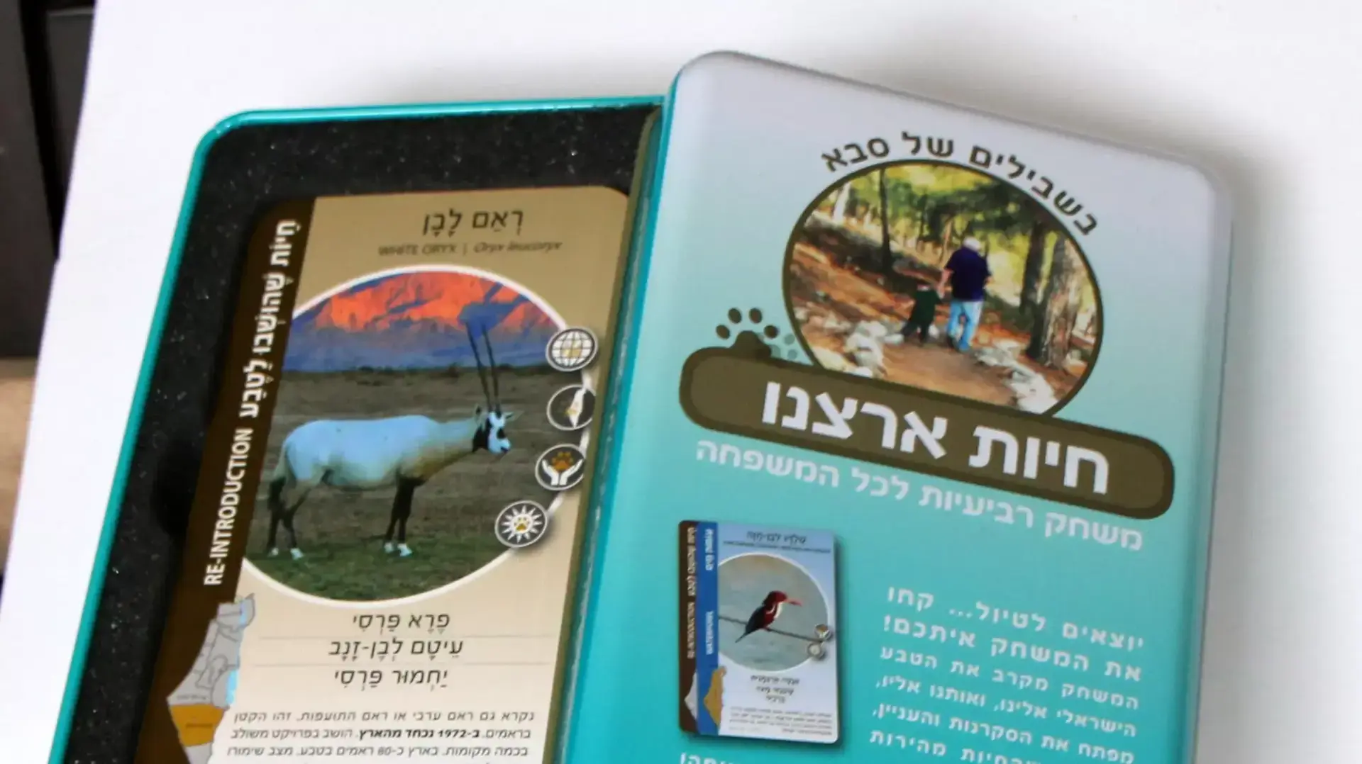 משחק רביעיות פרחי ארצנו חיות ארצנו של ענבל בן יעקב