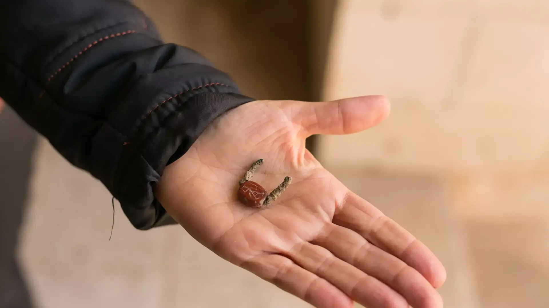 עשרות ממצאים ארכיאולוגים מהתרבות המצרית והיהודית שנחשפו בעקבות שוד עתיקות מוצגות במוזיאון רוקפלר בירושלים, מרץ 2015 עשרות ממצאים ארכיאולוגים מהתרבות המצרית והיהודית שנחשפו בעקבות שוד עתיקות מוצגות במוזיאון רוקפלר בירושלים, מרץ 2015