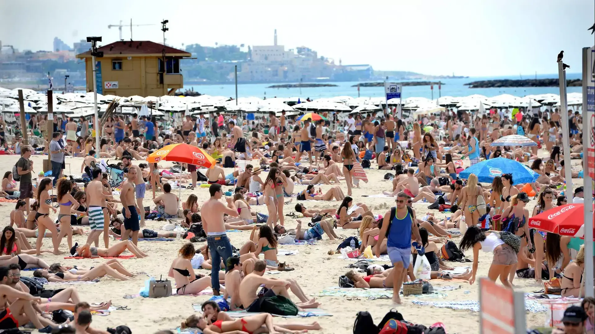 חוף הים בתל אביב, אפריל 2015 חוף הים בתל אביב, אפריל 2015
