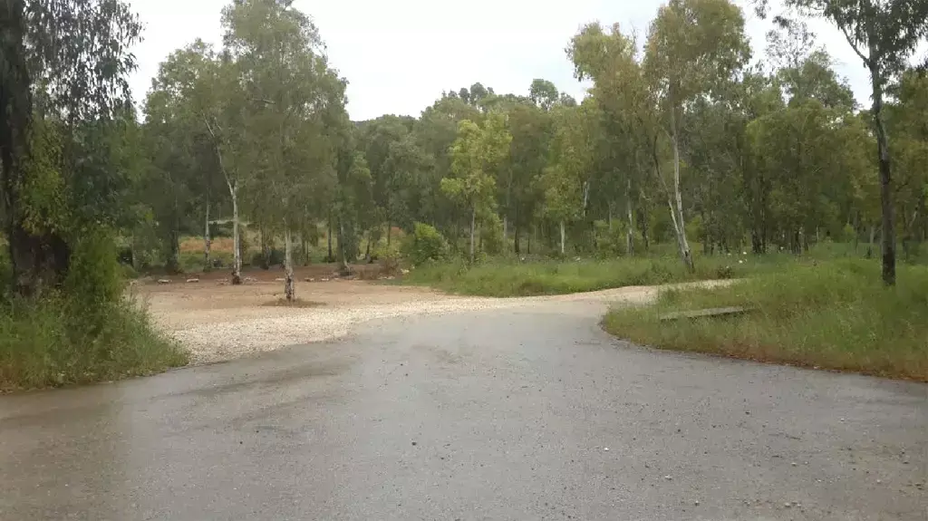 יער חורשים, אפריל 2015 יער חורשים, אפריל 2015