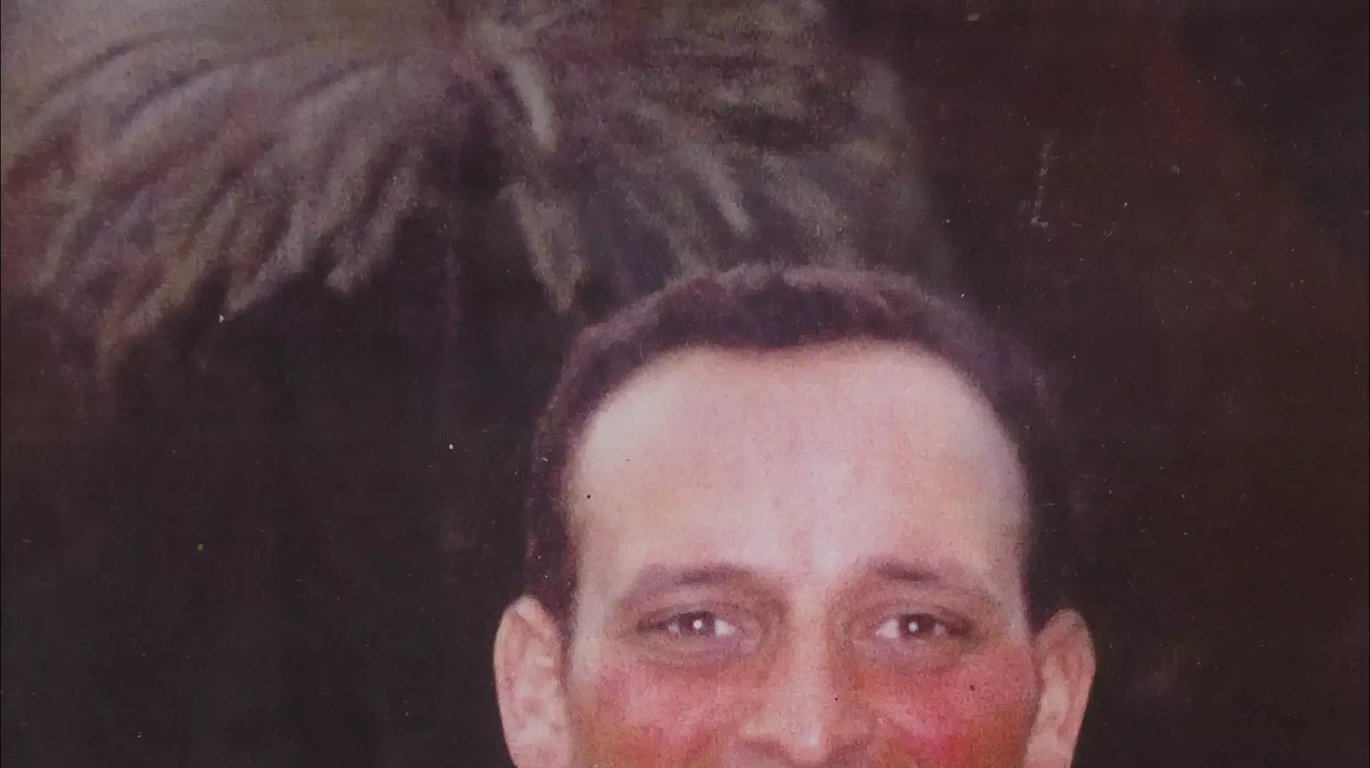 רפרודוקציה: עודד קורנפיין, רפרודוקציה: עודד קורנפיין,