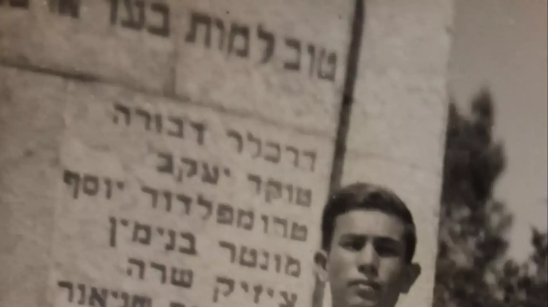 moshe2 moshe2