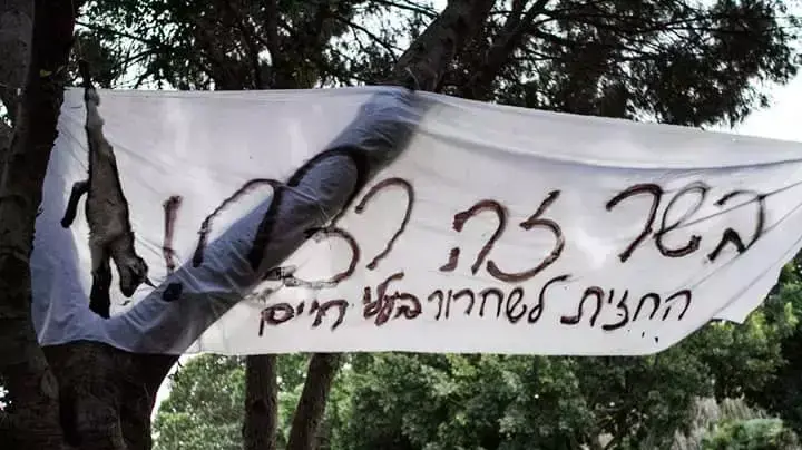 פגרים של חיות בפארק הירקון, 23 באפריל, יום העצמאות 2015 פגרים של חיות בפארק הירקון, 23 באפריל, יום העצמאות 2015