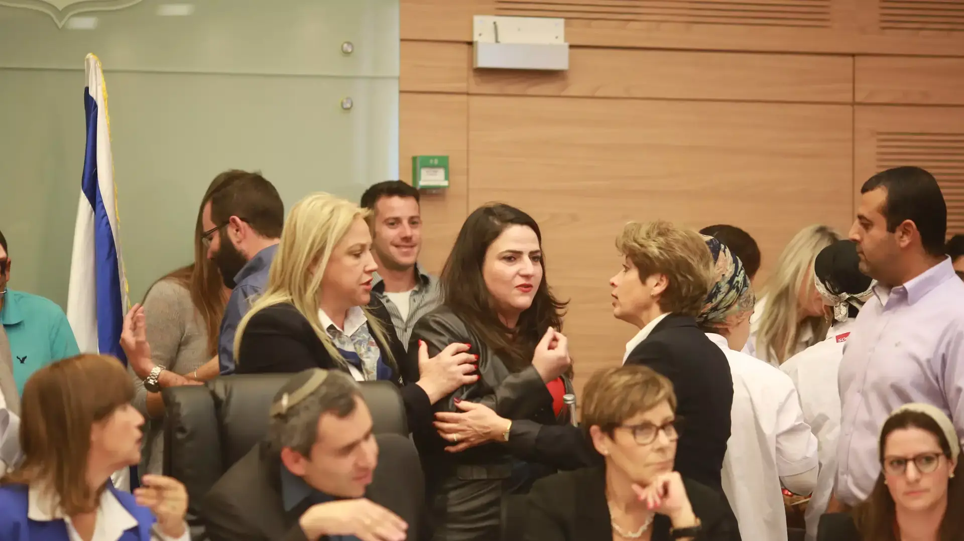 ח"כ מיכל בירן בוועדה המסדרת של הכנסת, מאי 2015 ח"כ מיכל בירן בוועדה המסדרת של הכנסת, מאי 2015