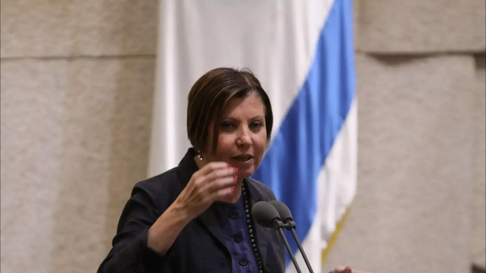 יו"ר מרצ ח"כ זהבה גלאון בדיון השבעת הממשלה יו"ר מרצ ח"כ זהבה גלאון בדיון השבעת הממשלה