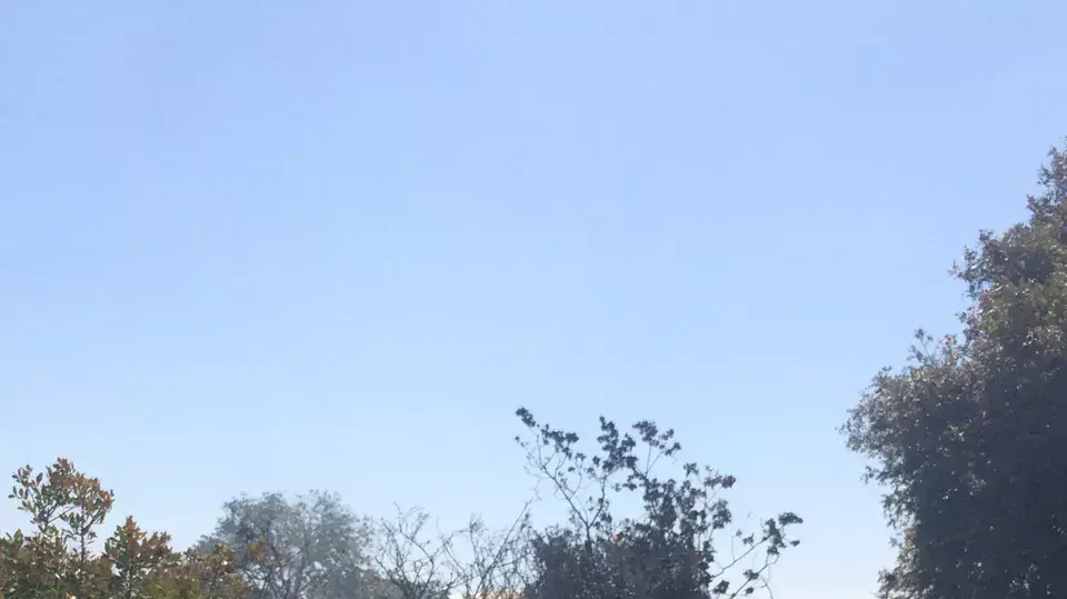 שריפת חורש טבעי בשטח גדול מאוד סמוך לואדי ערה, מאי 2015 שריפת חורש טבעי בשטח גדול מאוד סמוך לואדי ערה, מאי 2015