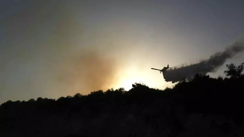 שריפה בהתנחלות סלעית שריפה בהתנחלות סלעית