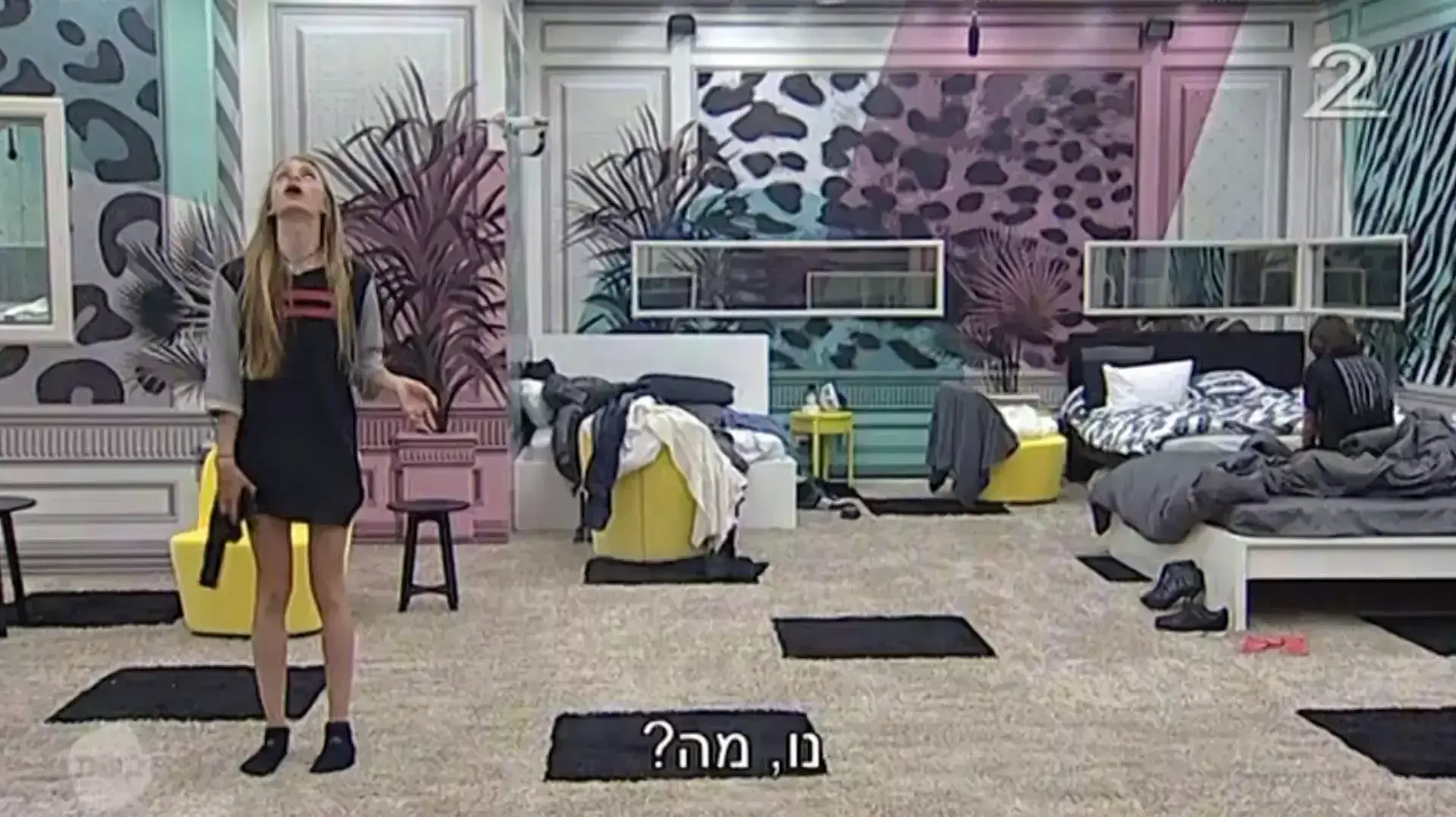 האח הגדול האח הגדול