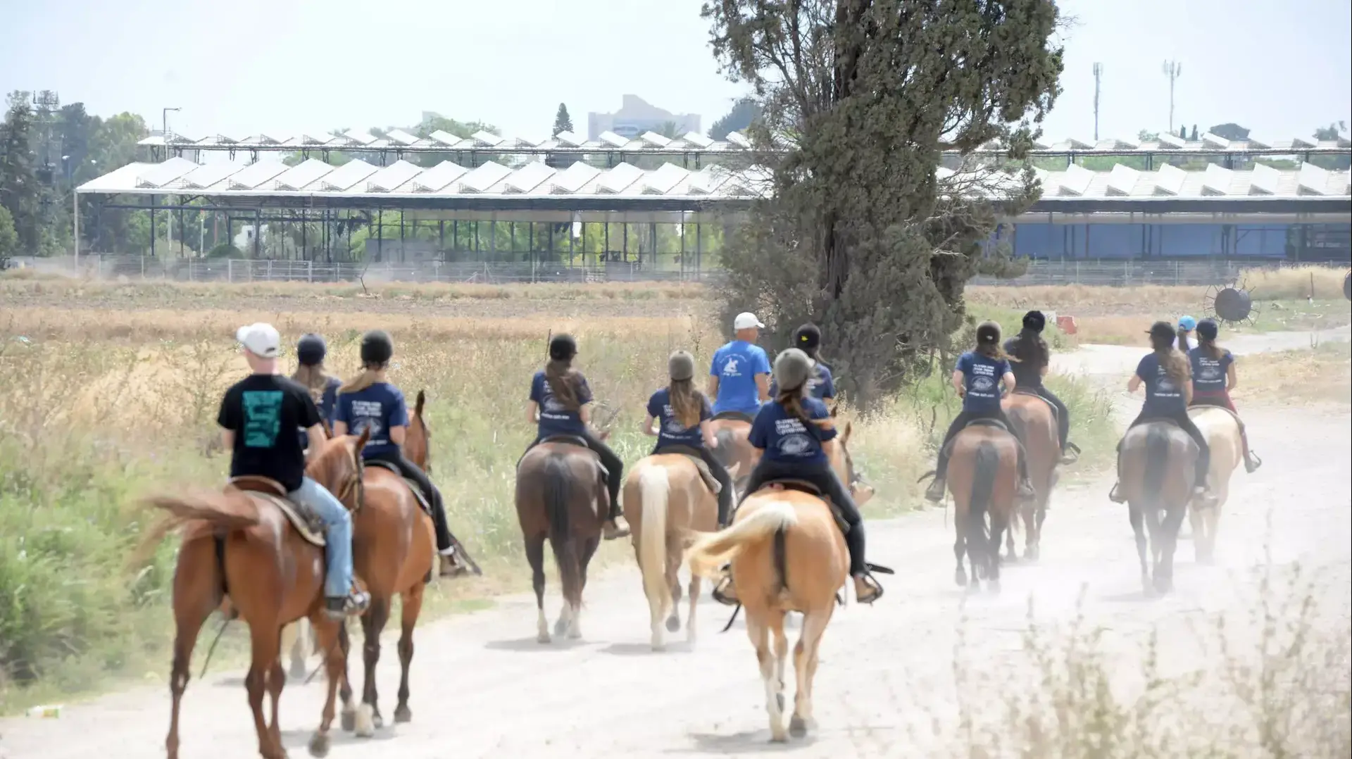 אירועי חג השבועות בבאר טוביה, 22 במאי 2015