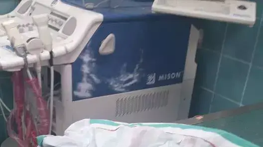 הכלבה שהוזנחה במרפסת באשדוד, מאי 2015 הכלבה שהוזנחה במרפסת באשדוד, מאי 2015
