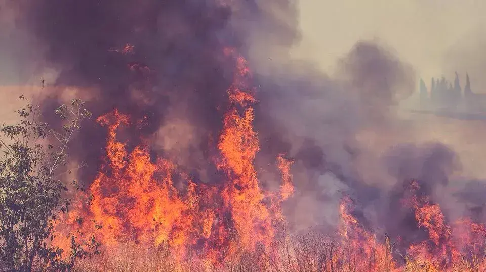 שריפת קוצים באזור המושבים אשבול, מבועים ופעמי תש"ז, 27 במאי 2015 שריפת קוצים באזור המושבים אשבול, מבועים ופעמי תש"ז, 27 במאי 2015