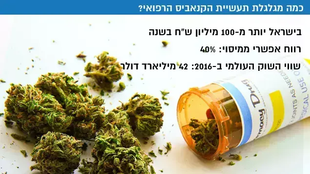 הכלכלה של הקנאביס הרפואי הכלכלה של הקנאביס הרפואי