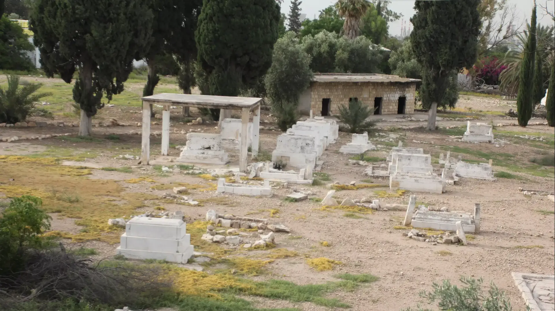 בית הקברות המוסלמי בנשר, מאי 2015 בית הקברות המוסלמי בנשר, מאי 2015