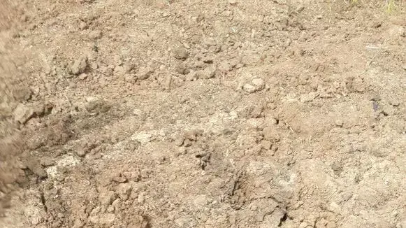 מקום נפילת הגראד, מועצה אזורית באר טוביה