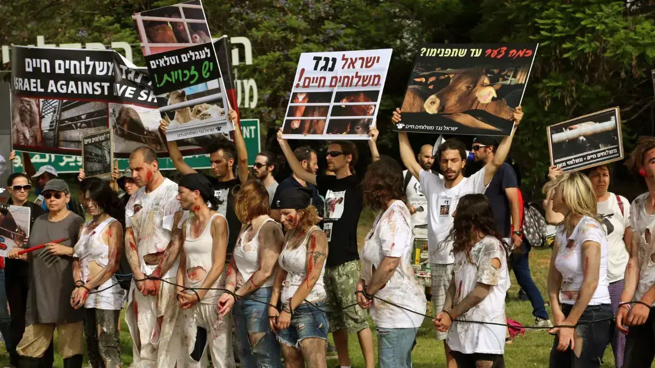 הפגנה נגד התעללות בעגלים וטלאים, מול משרד החקלאות בבית דגן, מאי 2015 הפגנה נגד התעללות בעגלים וטלאים, מול משרד החקלאות בבית דגן, מאי 2015