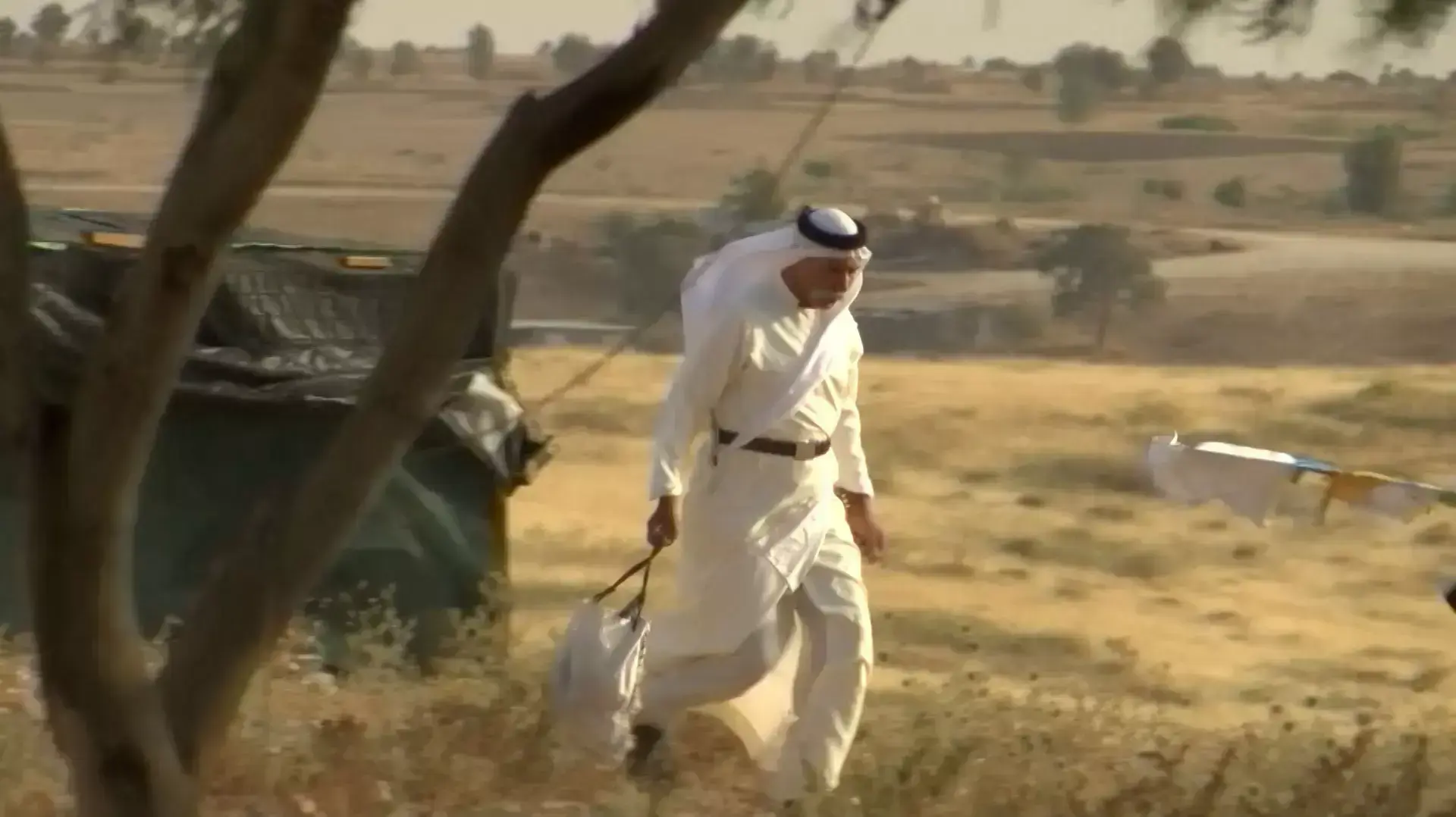 בדואים נגד בג"צ