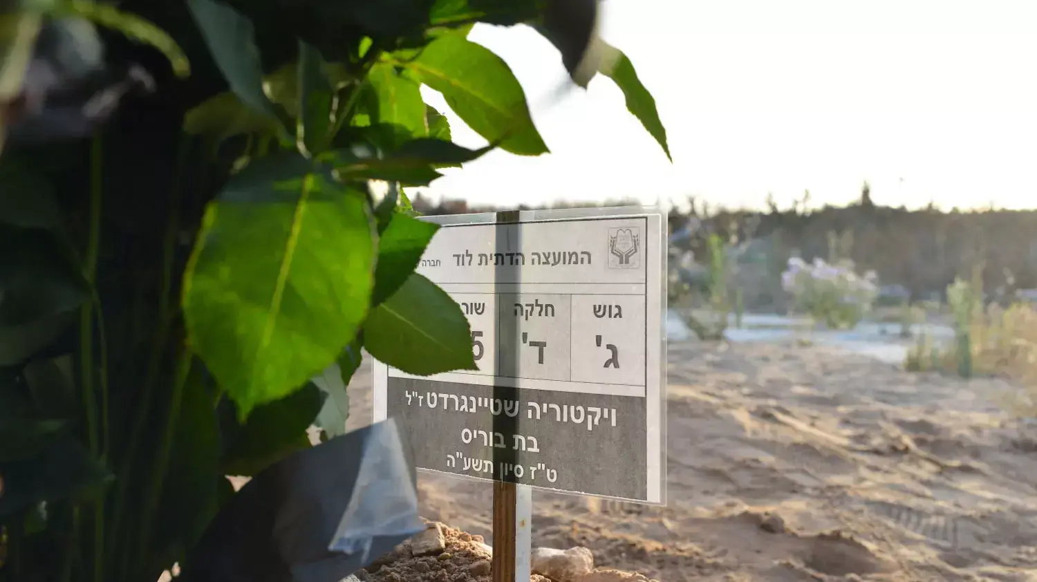 הלווית ויקטוריה שטיינגרדט, בית העלמין בלוד, יוני 2013 הלווית ויקטוריה שטיינגרדט, בית העלמין בלוד, יוני 2013