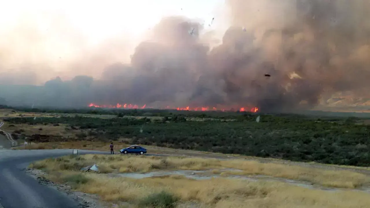 שריפת קוצים ליד מושב ארגמן שבבקעה, 12 ביוני 2015 שריפת קוצים ליד מושב ארגמן שבבקעה, 12 ביוני 2015