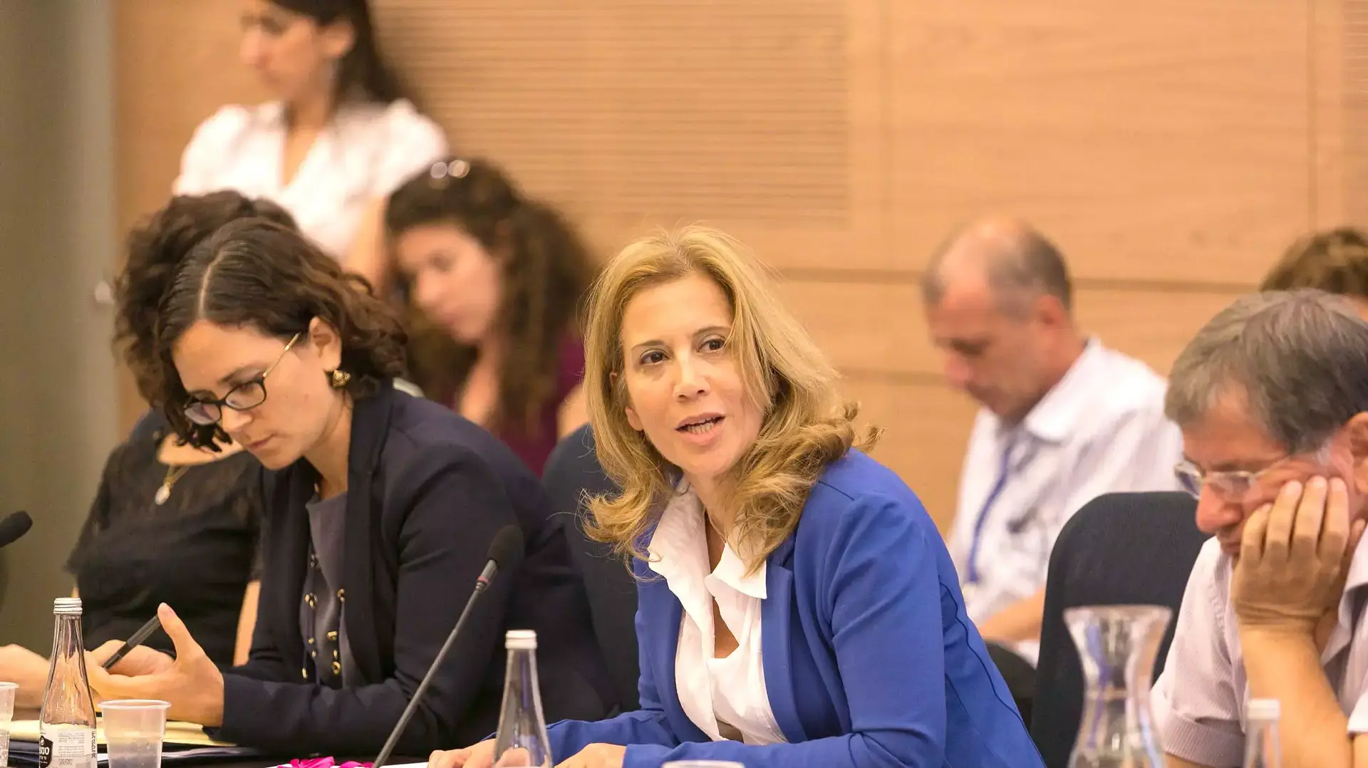ח"כ עליזה לביא בוועדת החינוך, יוני 2015 ח"כ עליזה לביא בוועדת החינוך, יוני 2015
