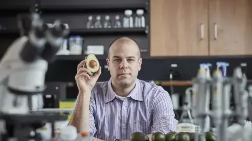 פרופסור פול ספנגולו