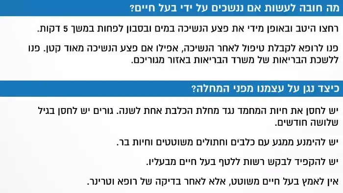 אניפו הנחיות בעלי חיים