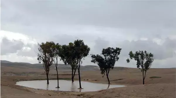 שיטת ההשקייה לימן שיטת ההשקייה לימן