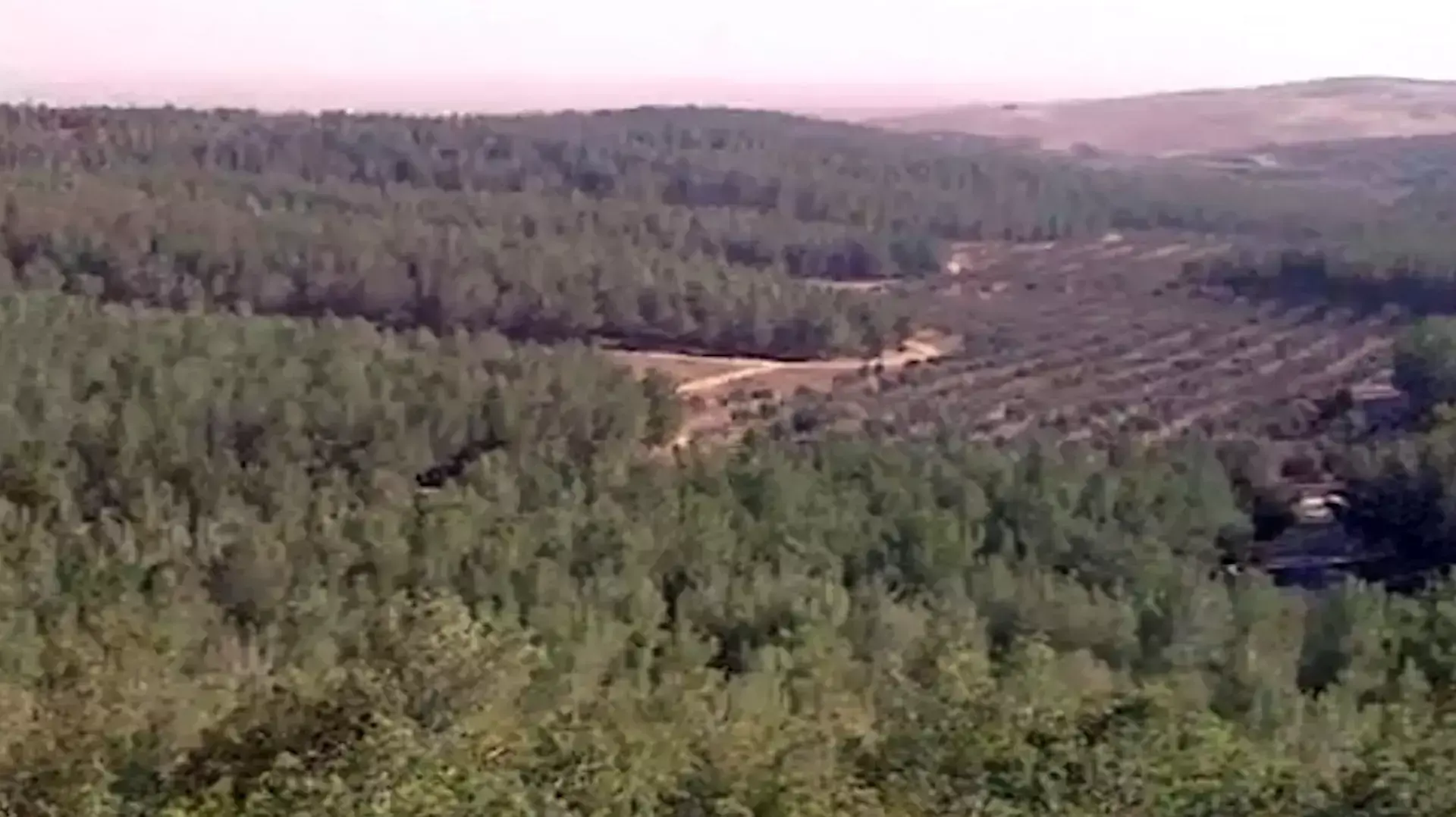 ישראל תקבל ציון לשבח מהאו"ם על התמודדות עם תופעת המדבור