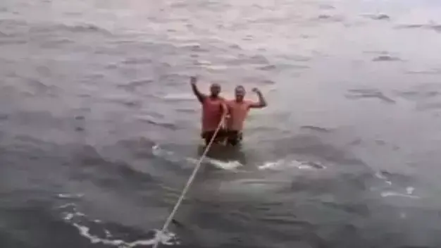 שני גברים גולשים על כריש לווייתני